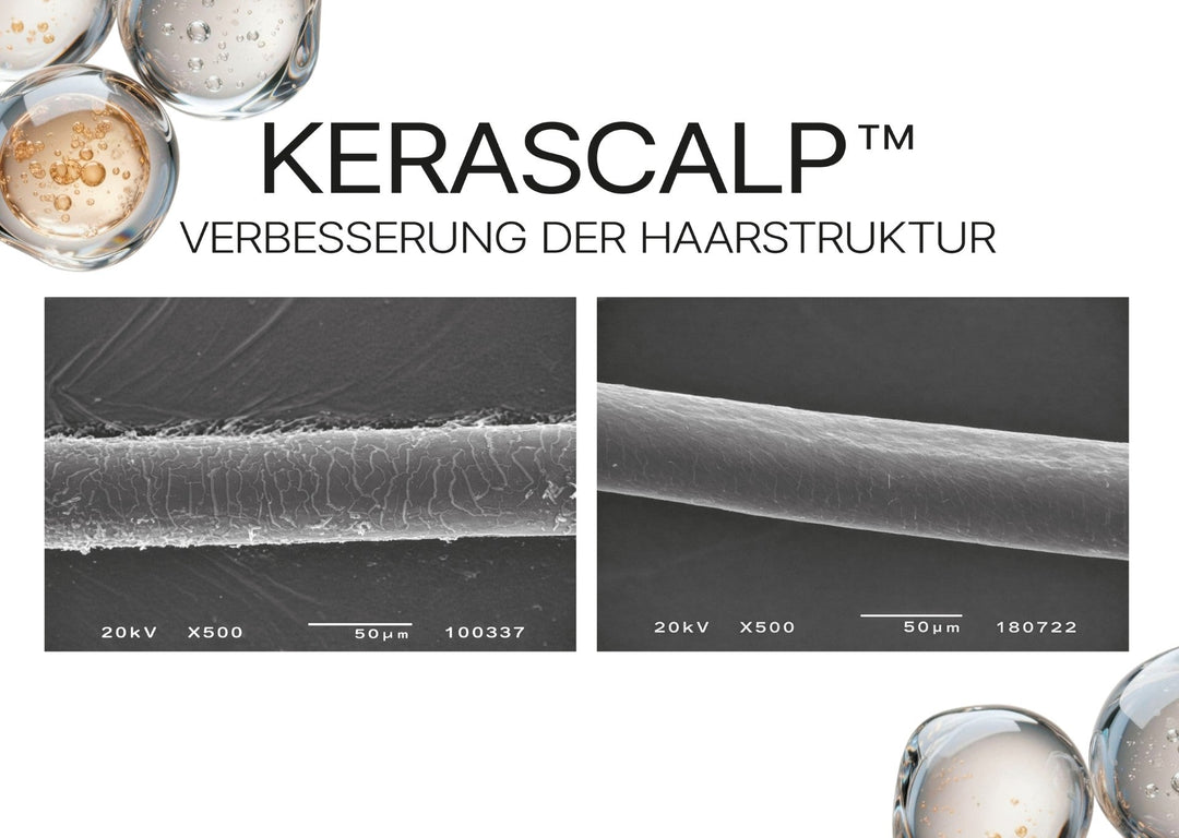 Lieblings Haarshampoo mit Kerascalp™, Propolis und Bernstein, 250ml